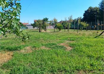 TERRENO RECINTATO 